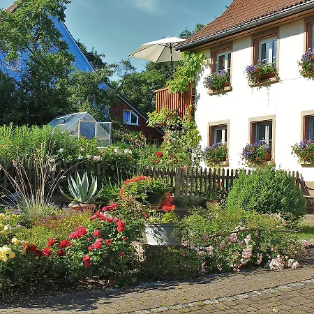 Apartment Rosa